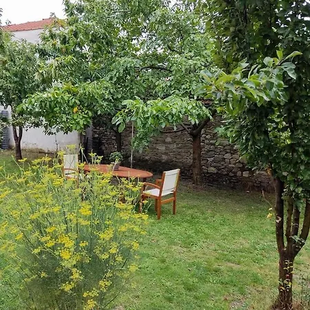 On Mount Olympus Karia (Thessaly)