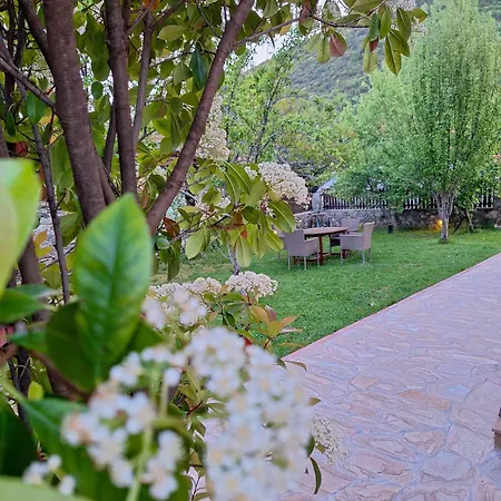 On Mount Olympus * Karia (Thessaly)